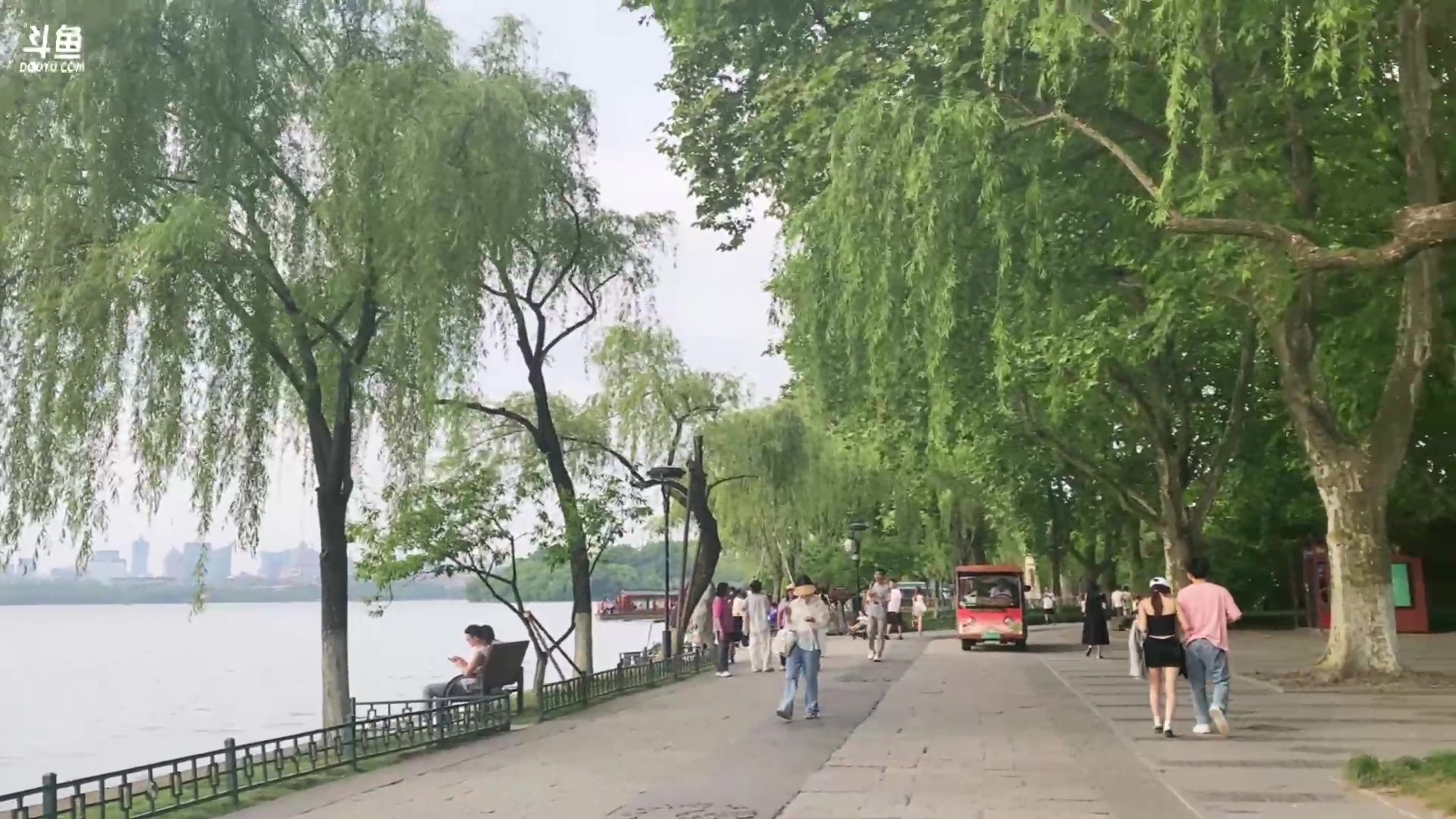 【2024-05-10 16点场】童猪啊i：钻石双倍，环西湖徒步