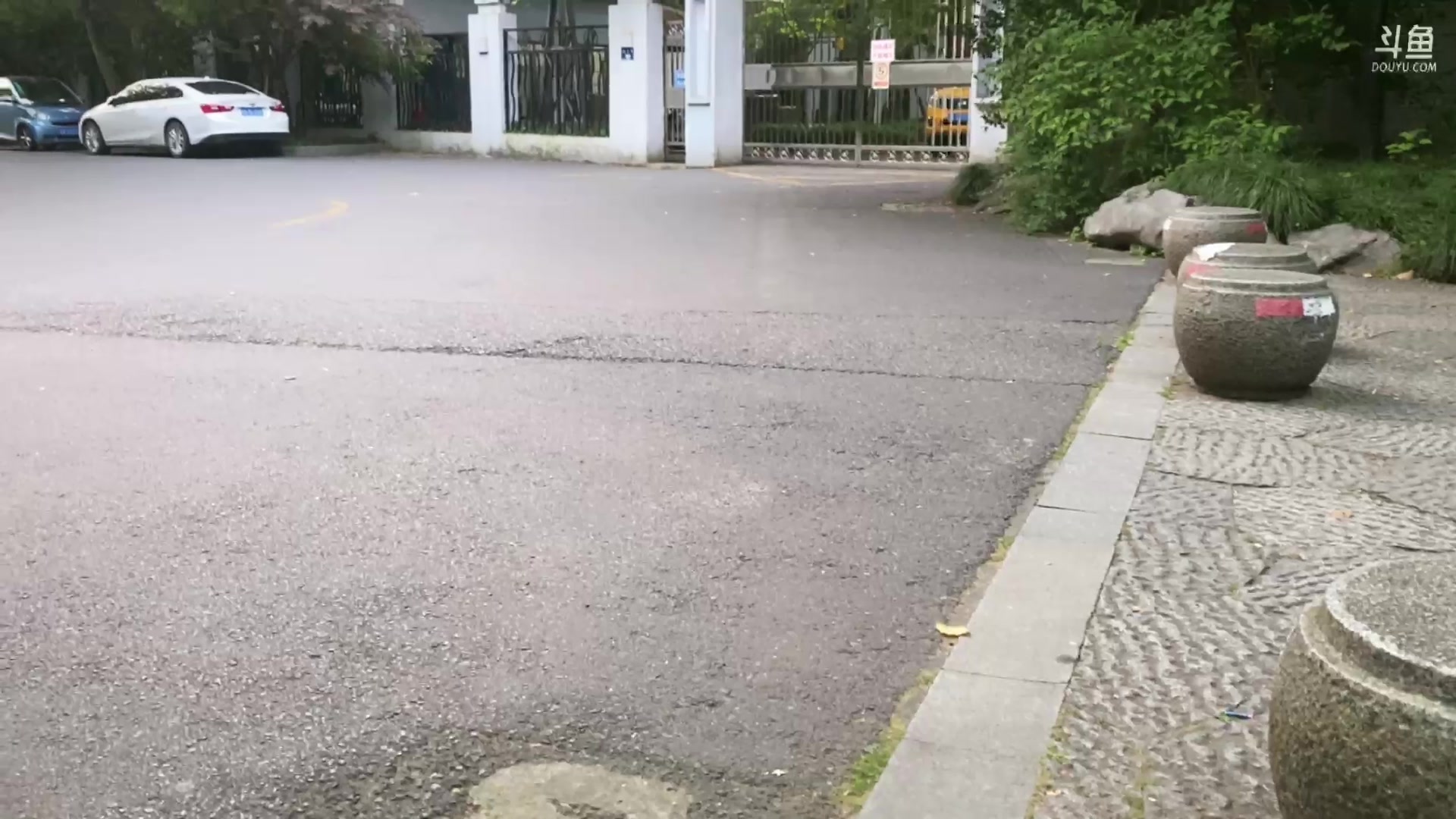 【2024-05-10 18点场】童猪啊i：钻石双倍，环西湖徒步