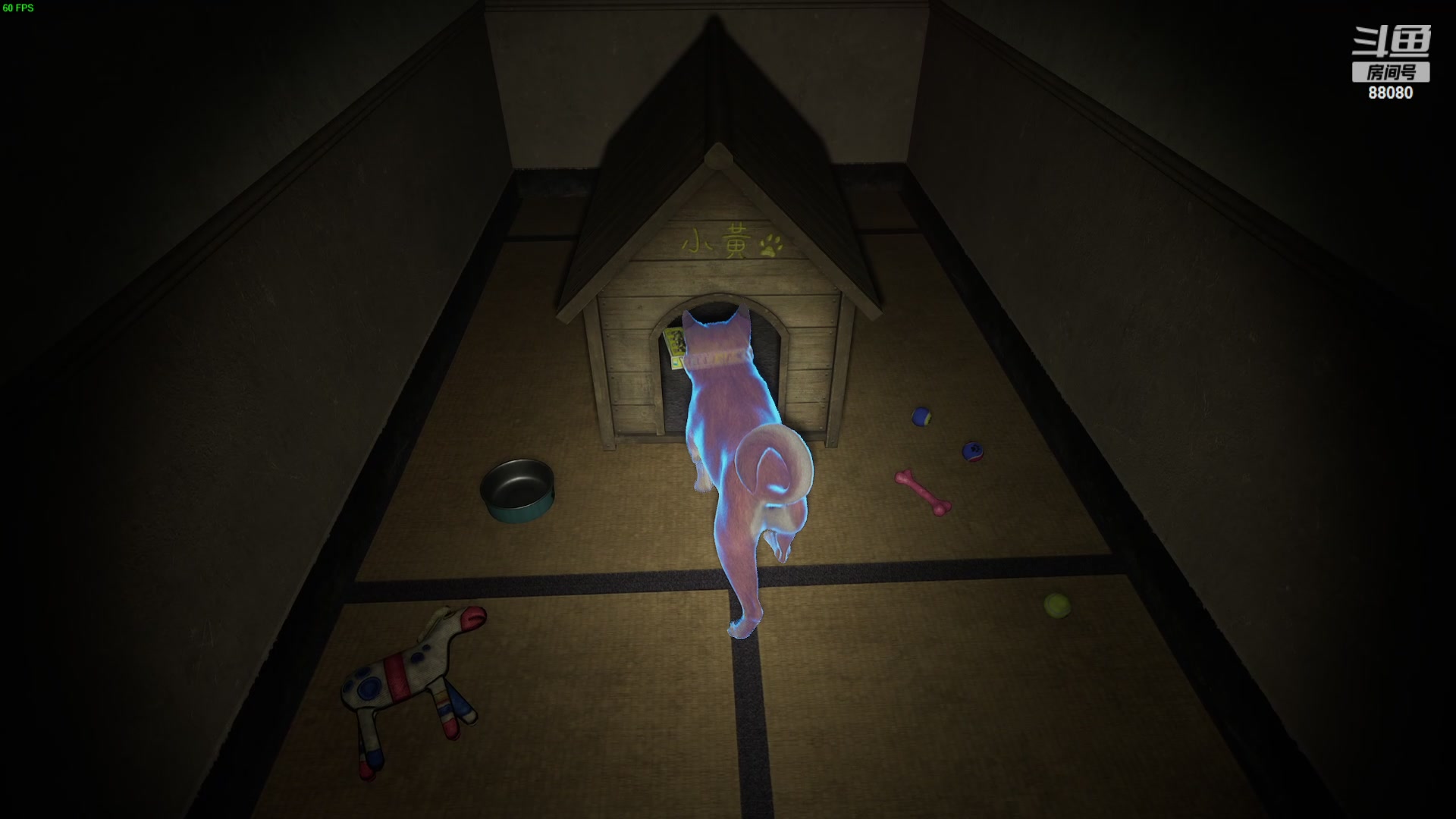 【2024-05-09 21点场】仙某某：神秘的直播间 88080