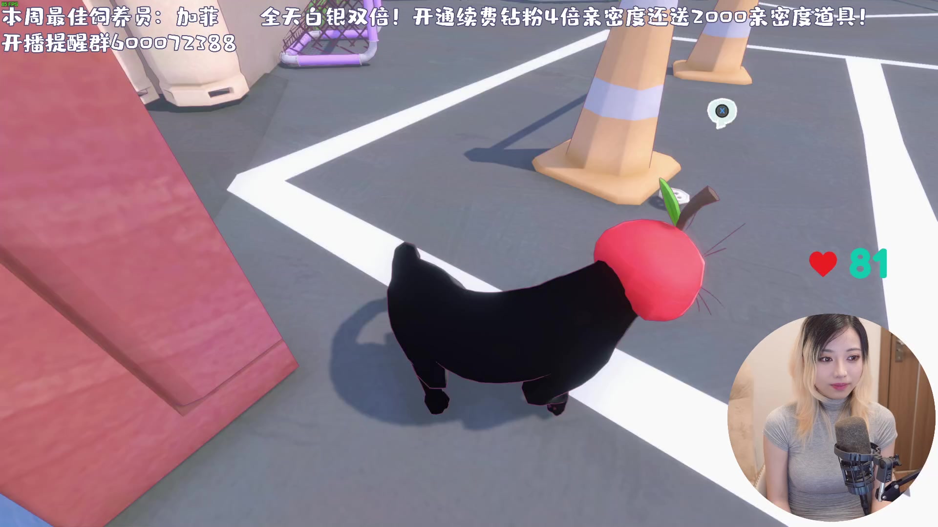 【2024-05-10 22点场】一番少侠29：【双倍】小猫咪大世界！