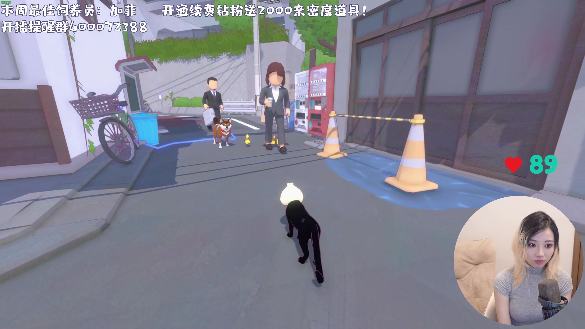 【2024-05-11 00点场】一番少侠29：小猫咪大大大大大世界！