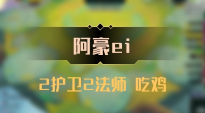 【阿豪ei】2护卫2法师 吃鸡