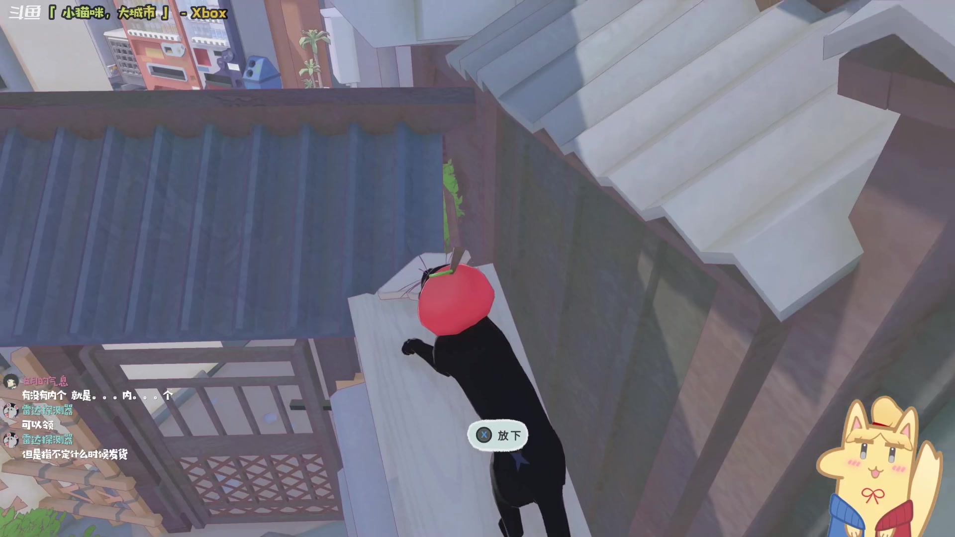 【2024-05-10 20点场】哈尼她姐：小猫咪，大城市！