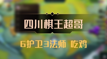 【四川棋王超哥】6护卫3法师 吃鸡