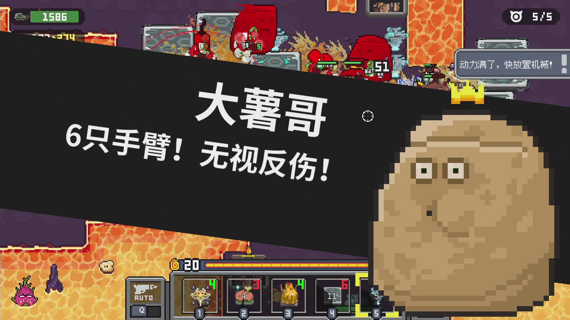 【2024-05-12 16点场】午夜抹抹茶：高血压鸡血绿洲