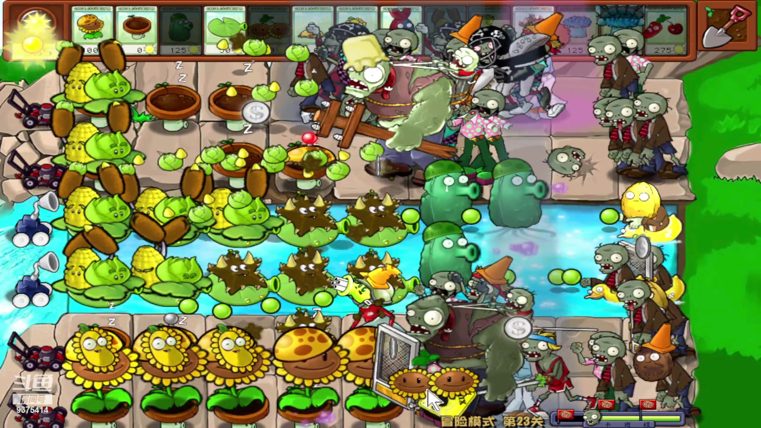 【2024-05-13 17点场】昧昧不是妹妹：我是自由的风