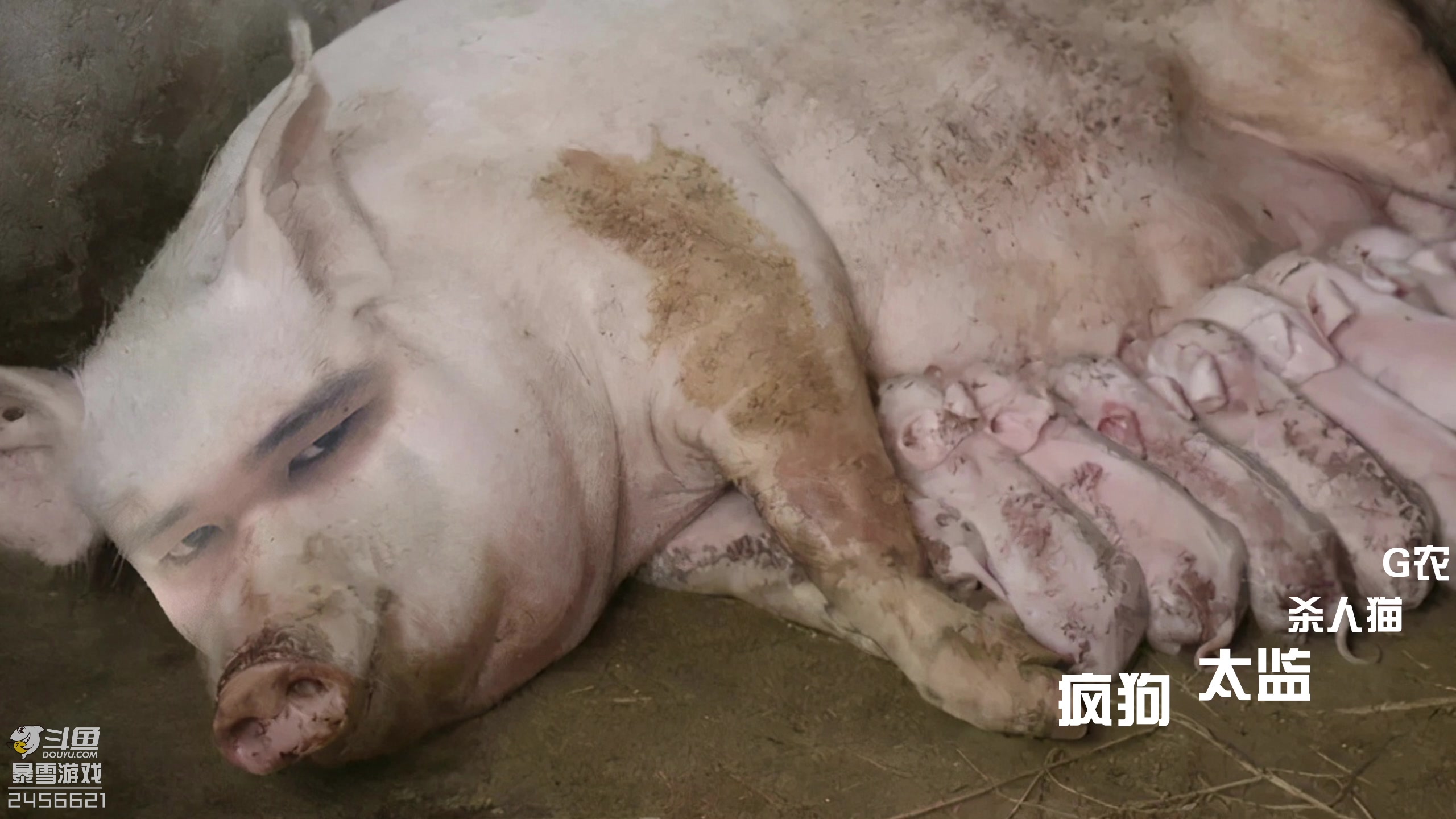 【2024-05-13 12点场】黑欢喜：礼拜一买卖稀！没有火箭和飞机！