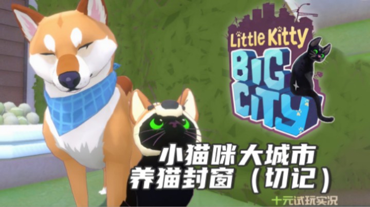 《小猫咪大城市》——我的猫世界第一可爱（治愈/猫猫/冒险探索）