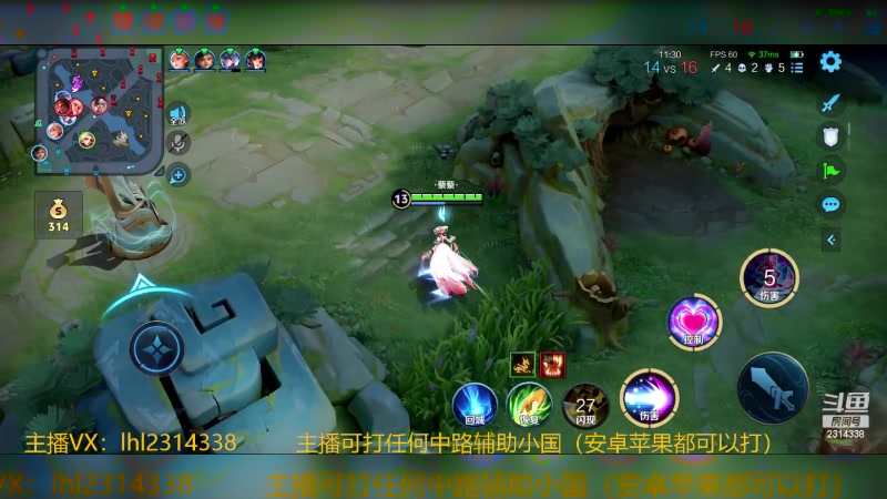 【2024-05-14 14点场】国服老狐狸：国服妲己：进来学技术