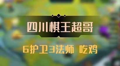 【四川棋王超哥】6护卫3法师 吃鸡