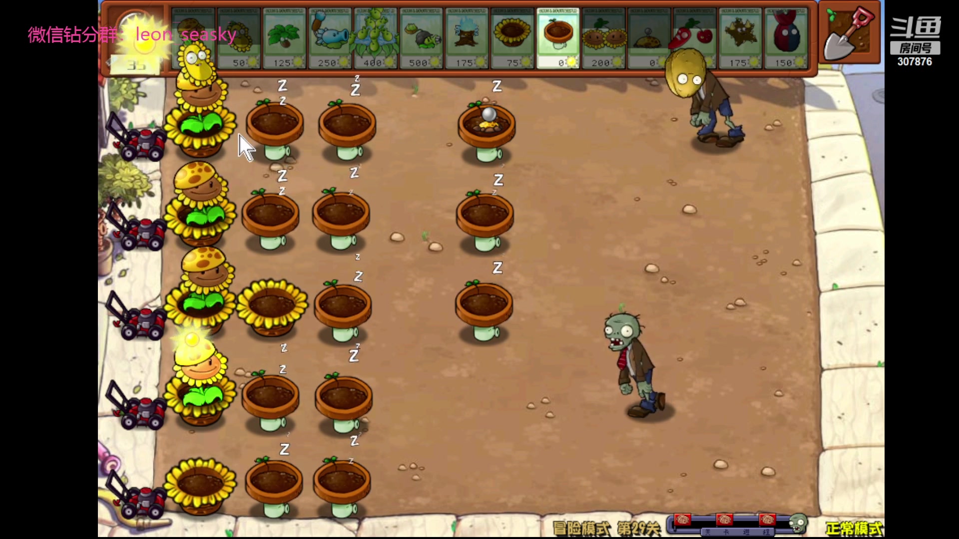 【2024-05-19 00点场】夏一可死毒舌_：【今日双倍】喵：先打会魔兽，然后打僵尸！