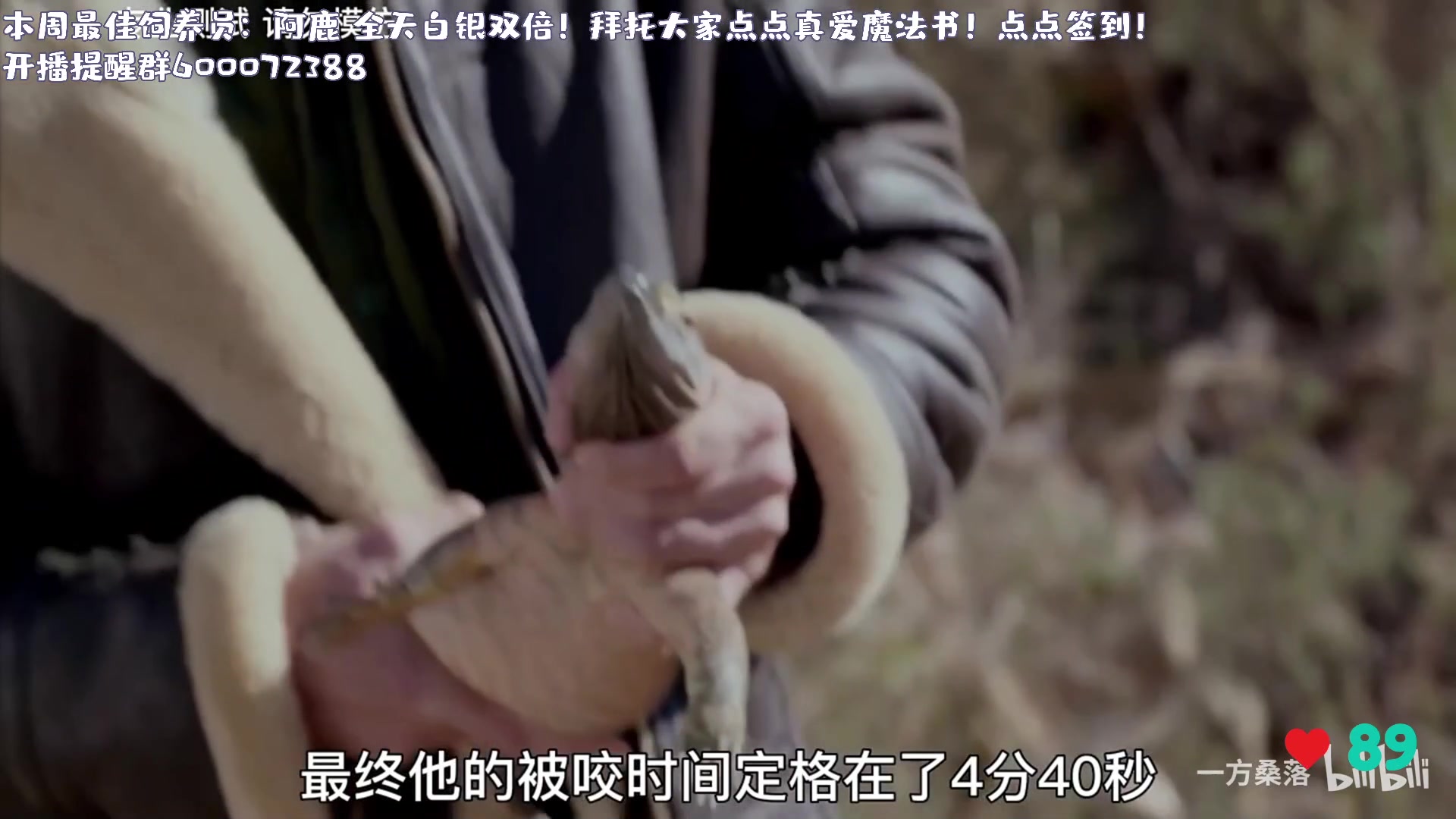 【2024-05-21 00点场】一番少侠29：【双倍】520之有氧拳击！
