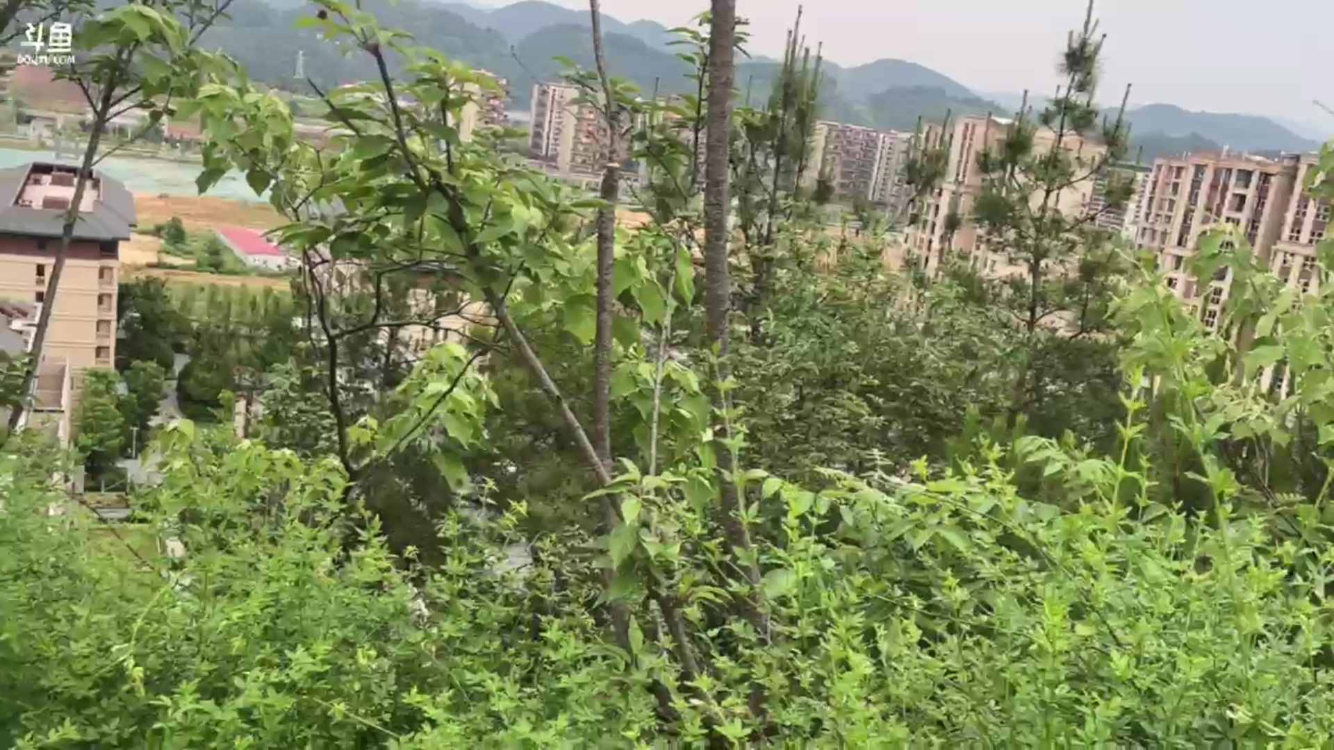 【2024-05-21 17点场】棒老三：为了卖房子修了个公园！