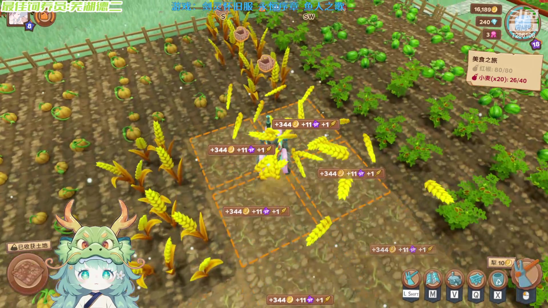 【2024-05-20 21点场】一只猛龙丶：过什么520，没意思~