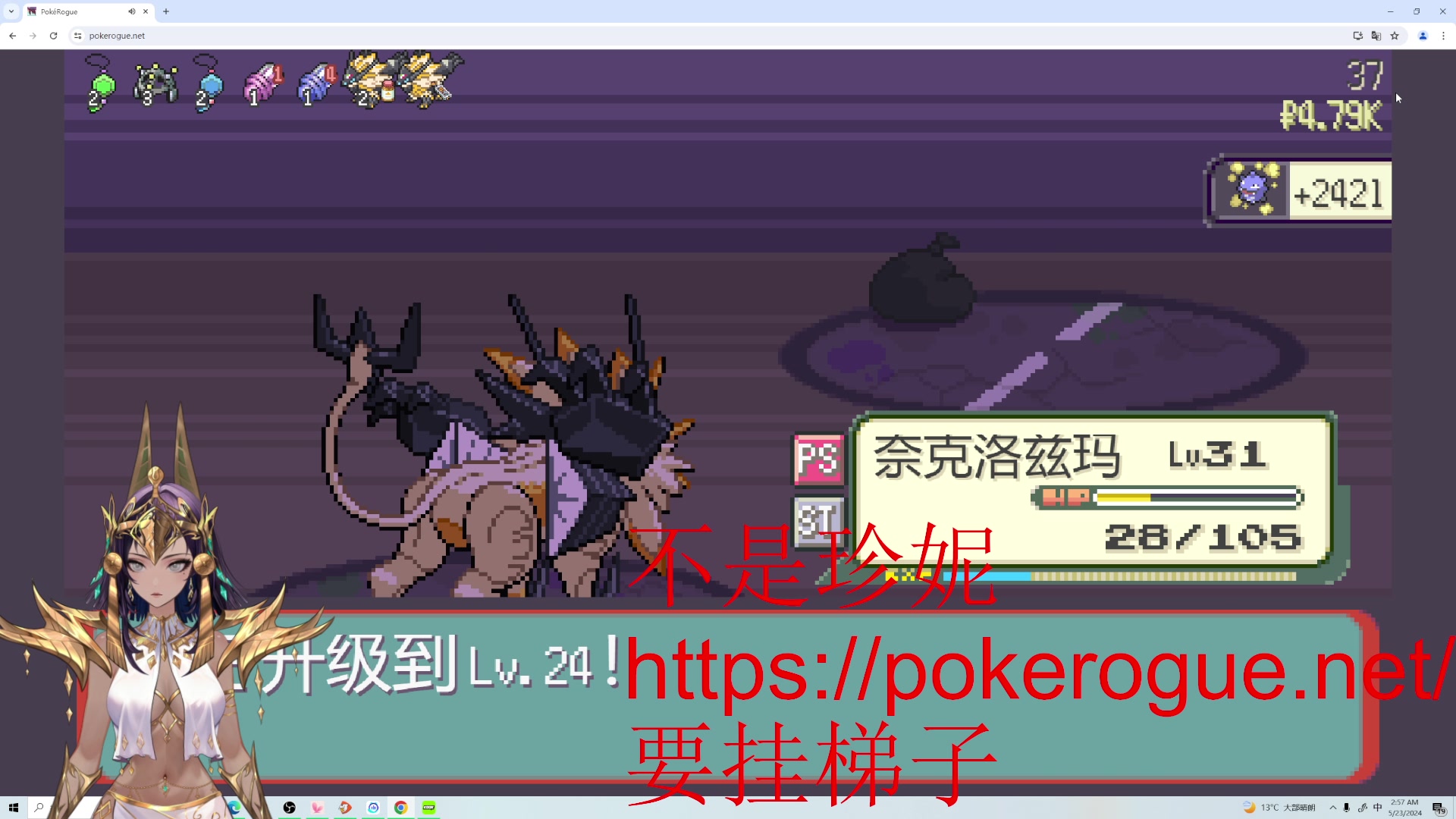 【2024-05-23 15点场】暴走的银剑君丶：5月23：世界爱龟日！