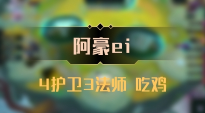 【阿豪ei】4护卫3法师 吃鸡