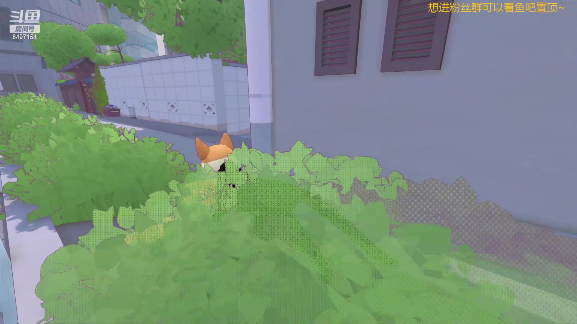 【2024-05-23 21点场】WE丶994：小猫咪大都市~云当猫。。