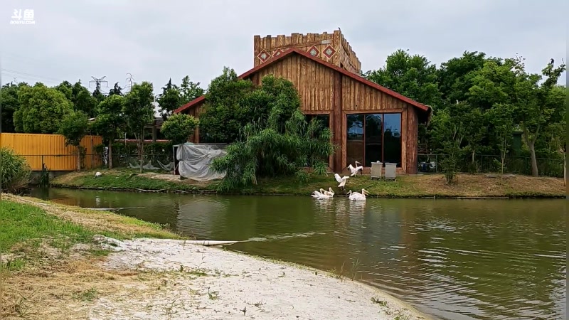 【2024-05-25 12点场】CSGO百岁三：森迪野生户外 双倍