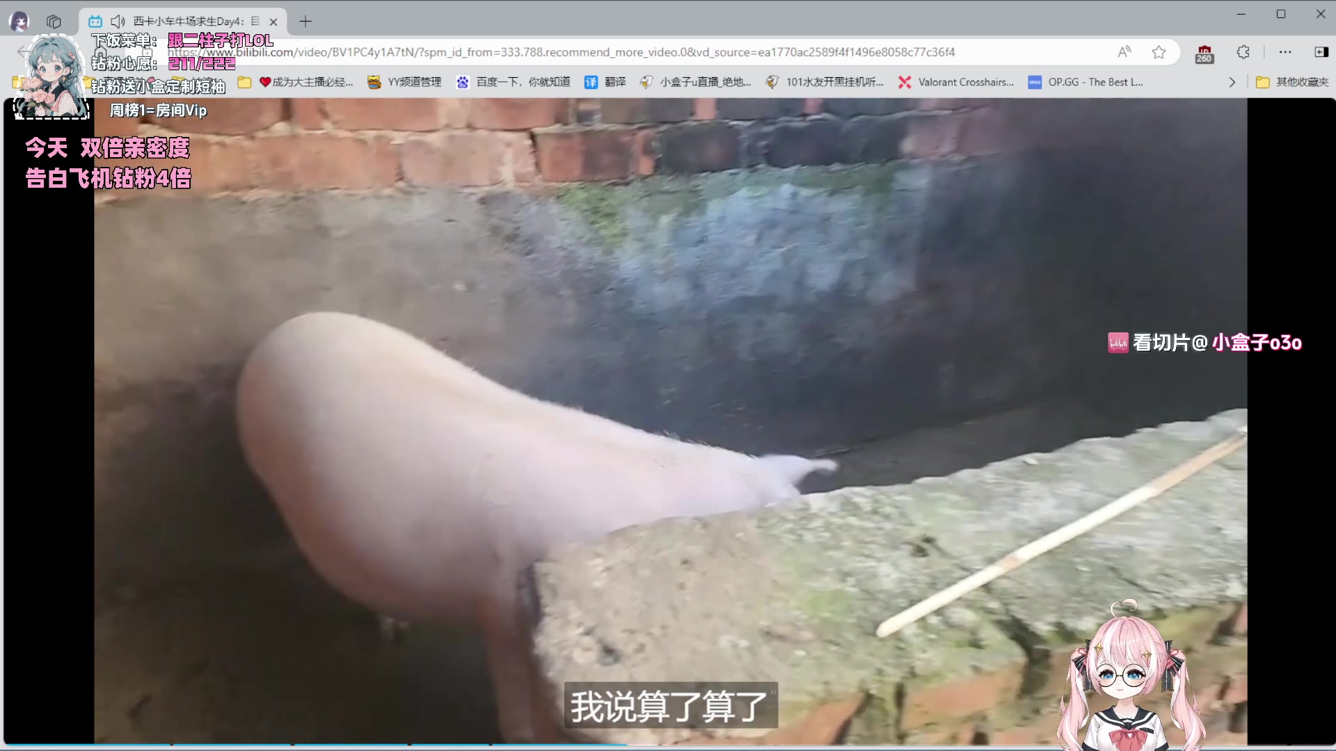 【2024-05-26 03点场】小盒子o3o：【双倍】今天你张达了吗QaQ