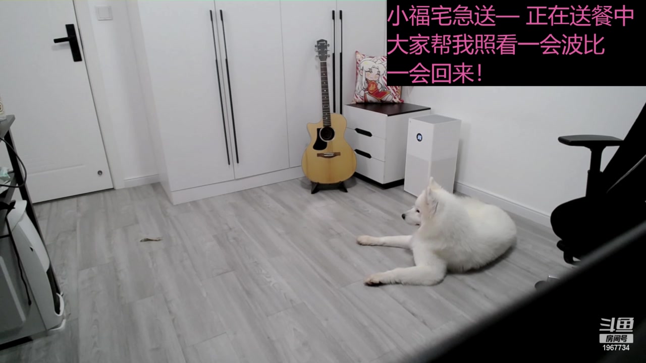 【2024-05-25 16点场】阿福Afuuu：小福宅急送 第二期！海鲜大咖