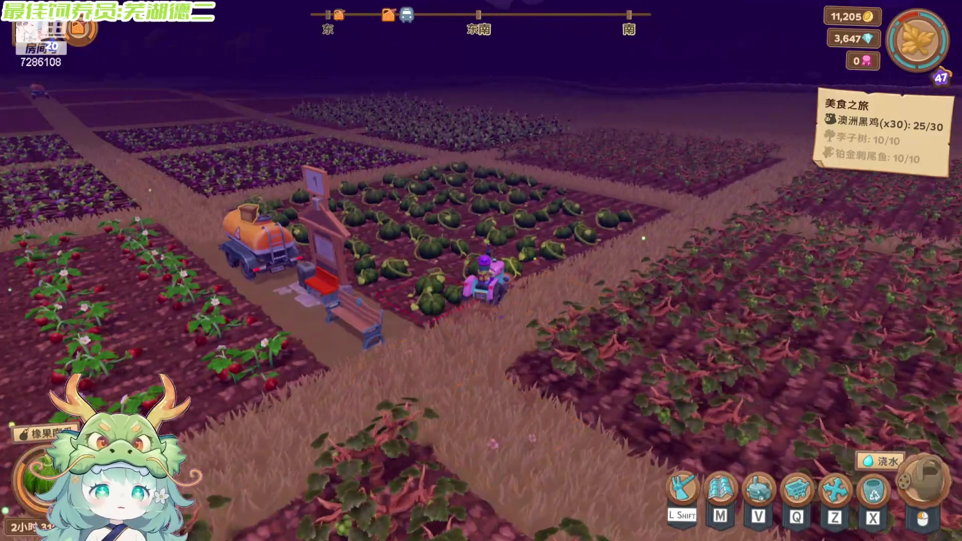 【2024-05-26 23点场】一只猛龙丶：新的一天开始啦~ 7286108