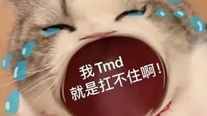 【2024-5-27 21点场】很菜的中二少女:练英雄，看看新英雄，我不是国服啊真的