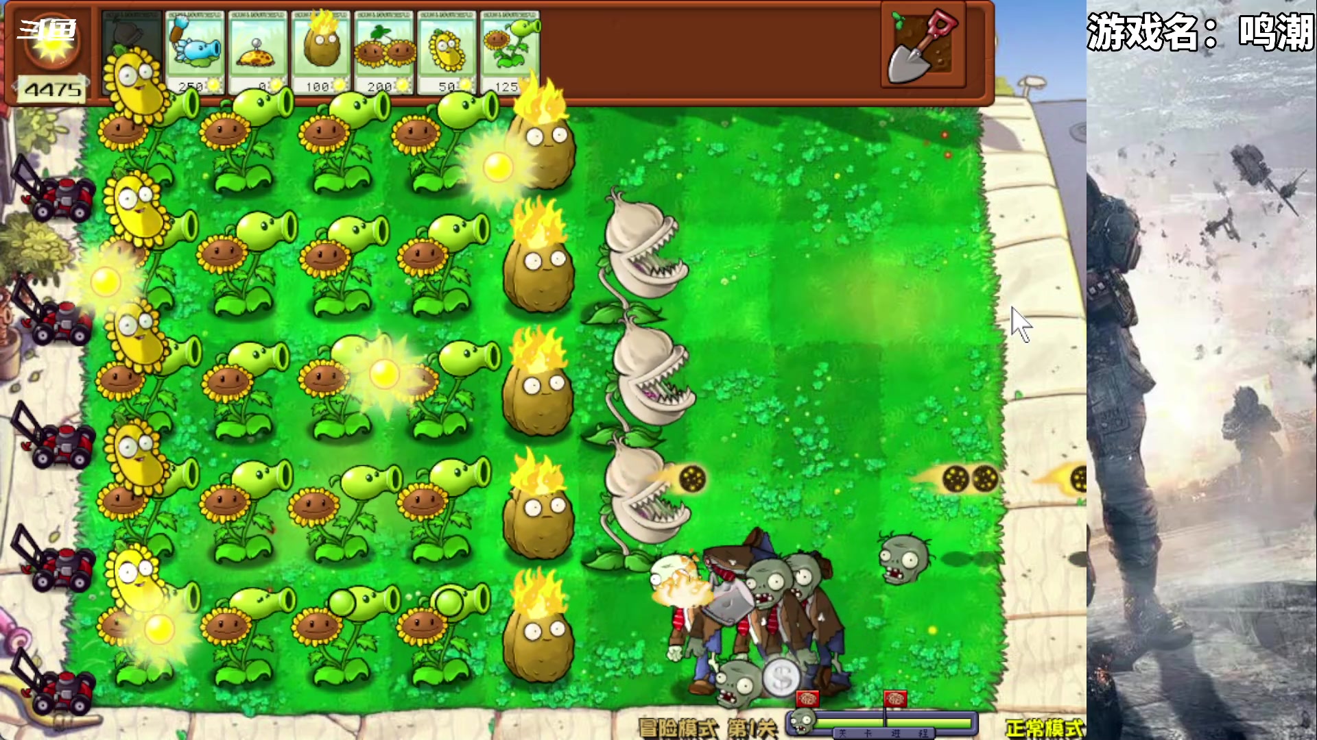 【2024-05-29 18点场】隐者丶丶：【小蜜蜂】客官里面请~~~~