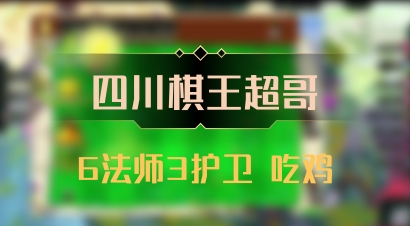 【四川棋王超哥】6法师3护卫 吃鸡