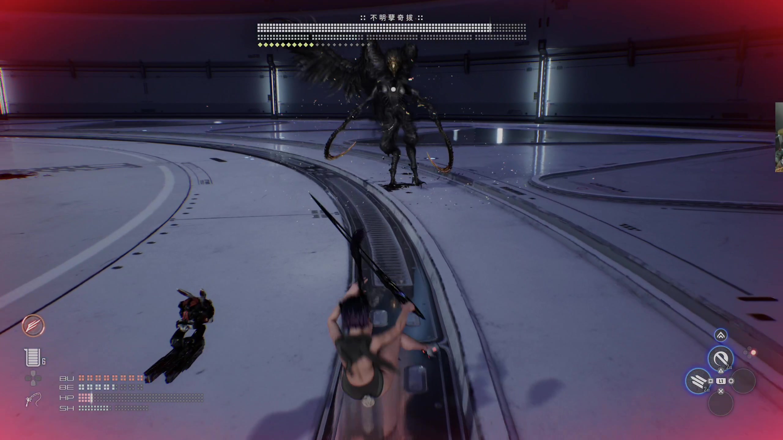 【2024-05-29 04点场】章随便先生：爱看妹妹爱看妹妹！