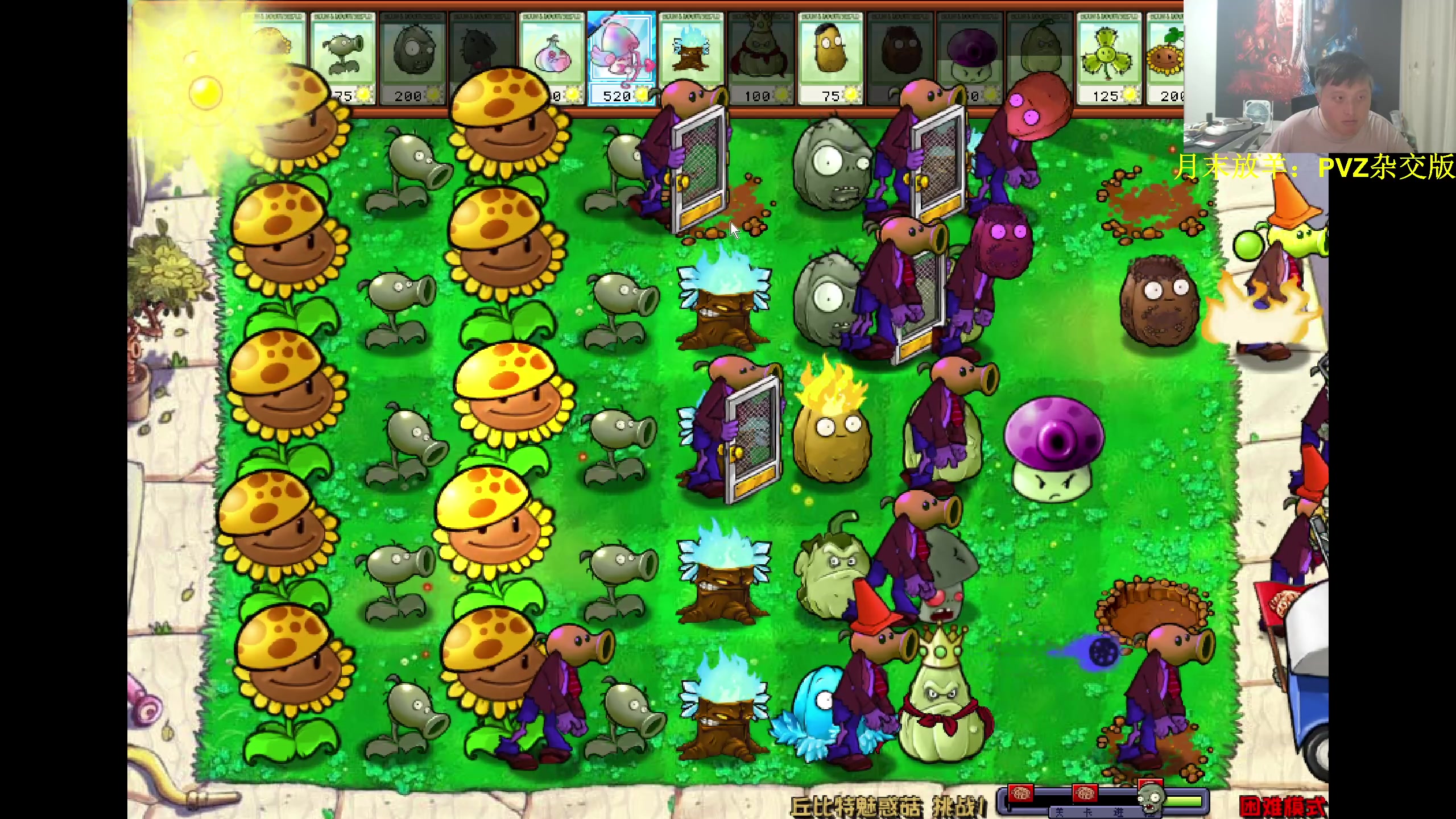 【2024-05-30 19点场】异灵术老师：异灵术：月底放羊：pvz杂交版