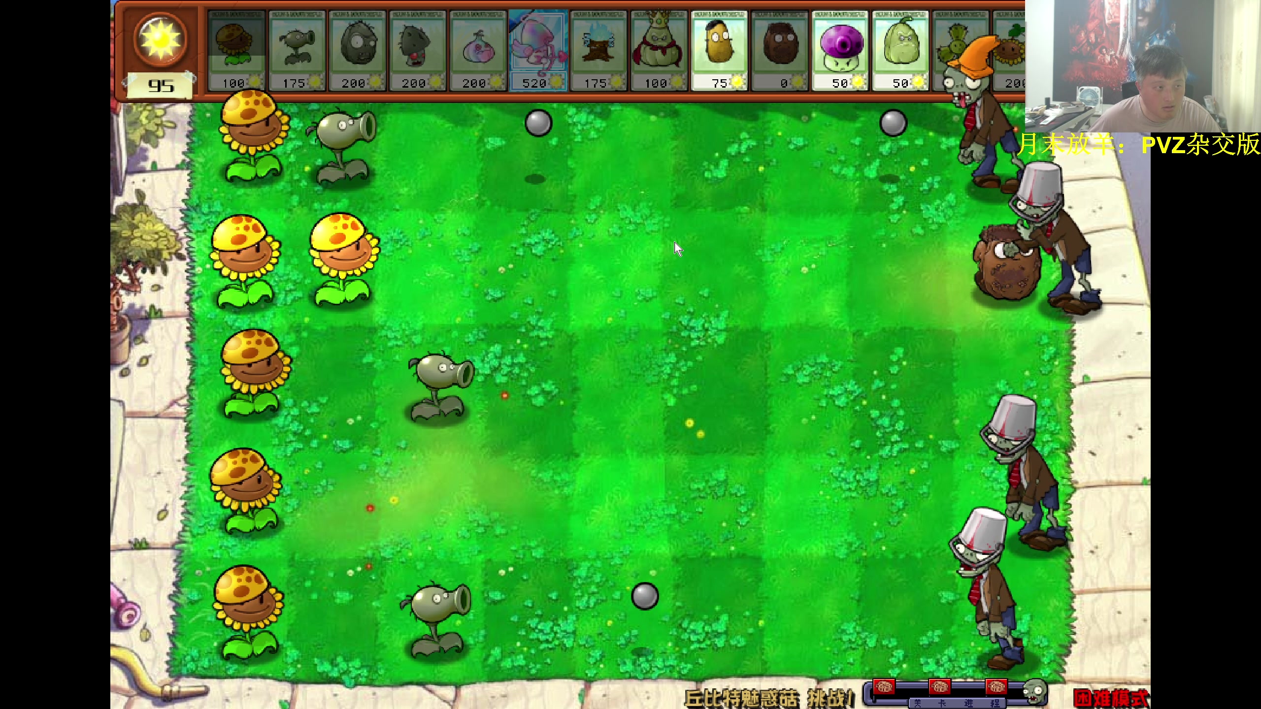 【2024-05-30 15点场】异灵术老师：异灵术：月底放羊：pvz杂交版