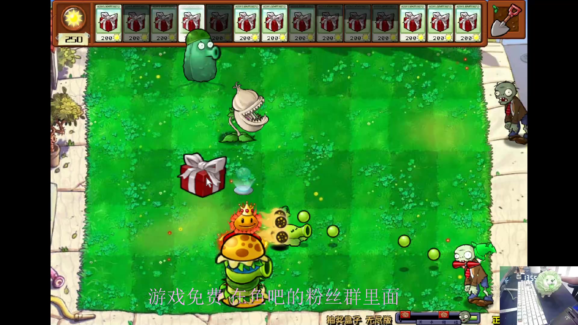 【2024-05-31 13点场】耿枫QUQ：古希腊掌管植物的神