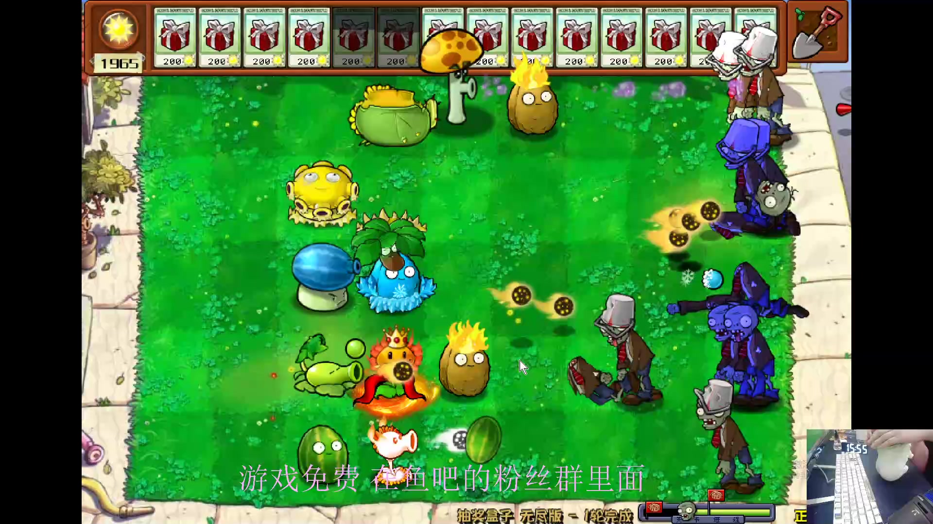 【2024-05-31 15点场】耿枫QUQ：古希腊掌管植物的神