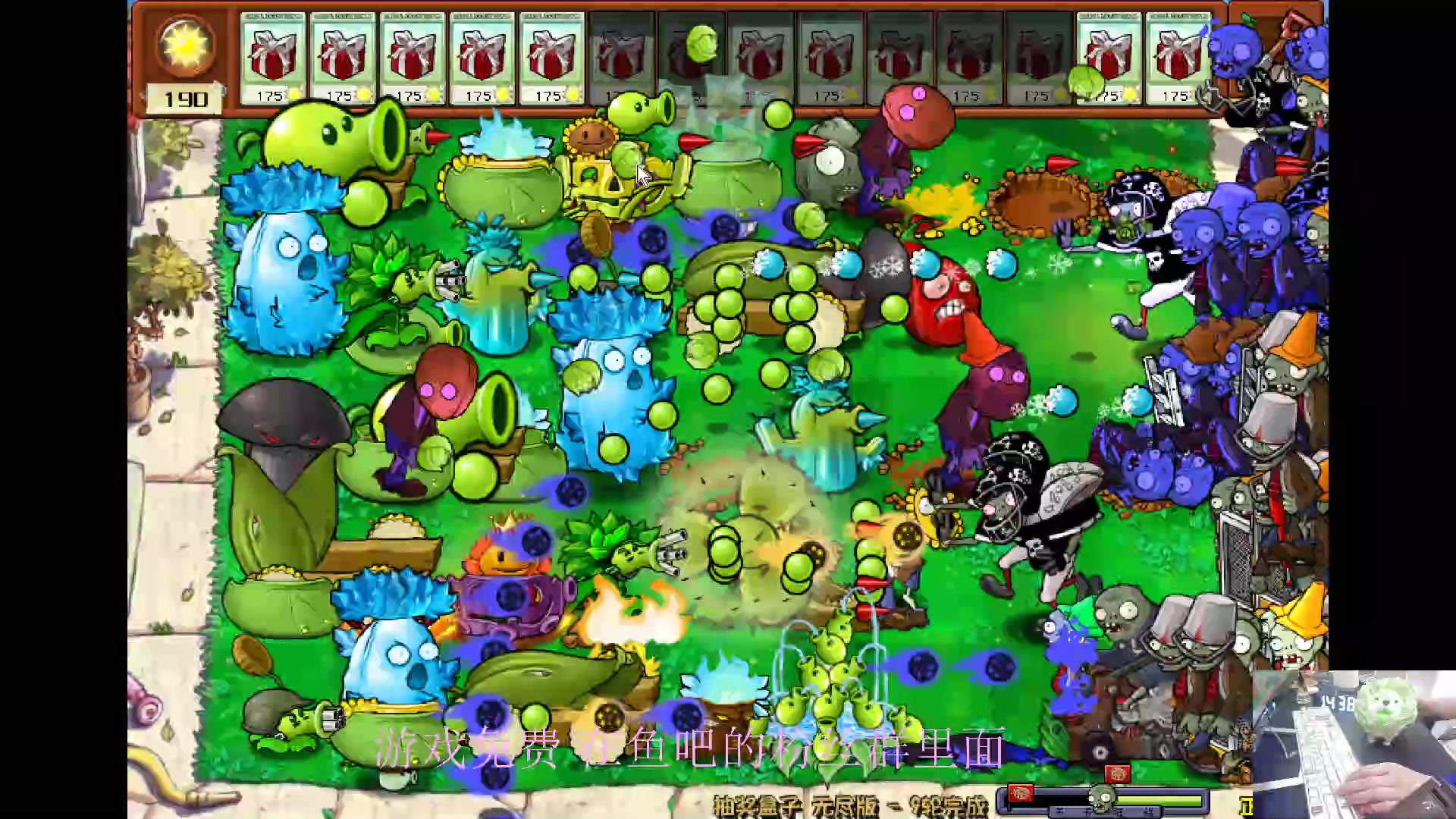 【2024-06-02 13点场】耿枫QUQ：古希腊掌管植物的神