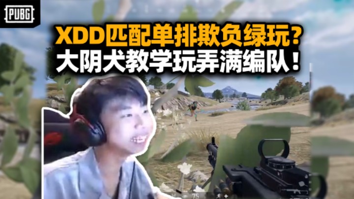 享受！XDD匹配单人四排教学 幻影坦克一趴真是个大阴犬！身法意识玩弄满编队？