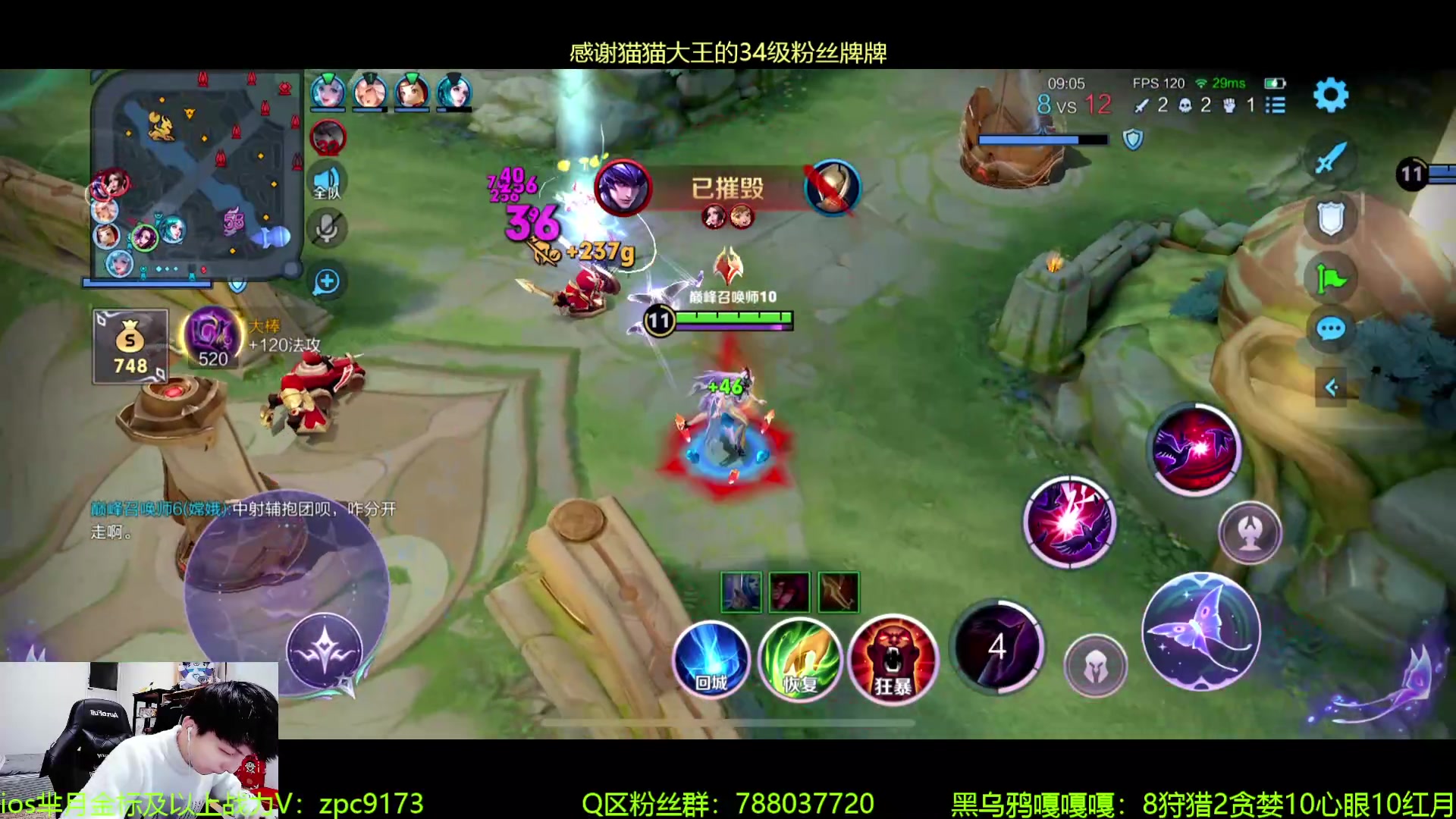 【2024-06-02 22点场】青鸾少年云天河：狂暴芈月制霸野区~
