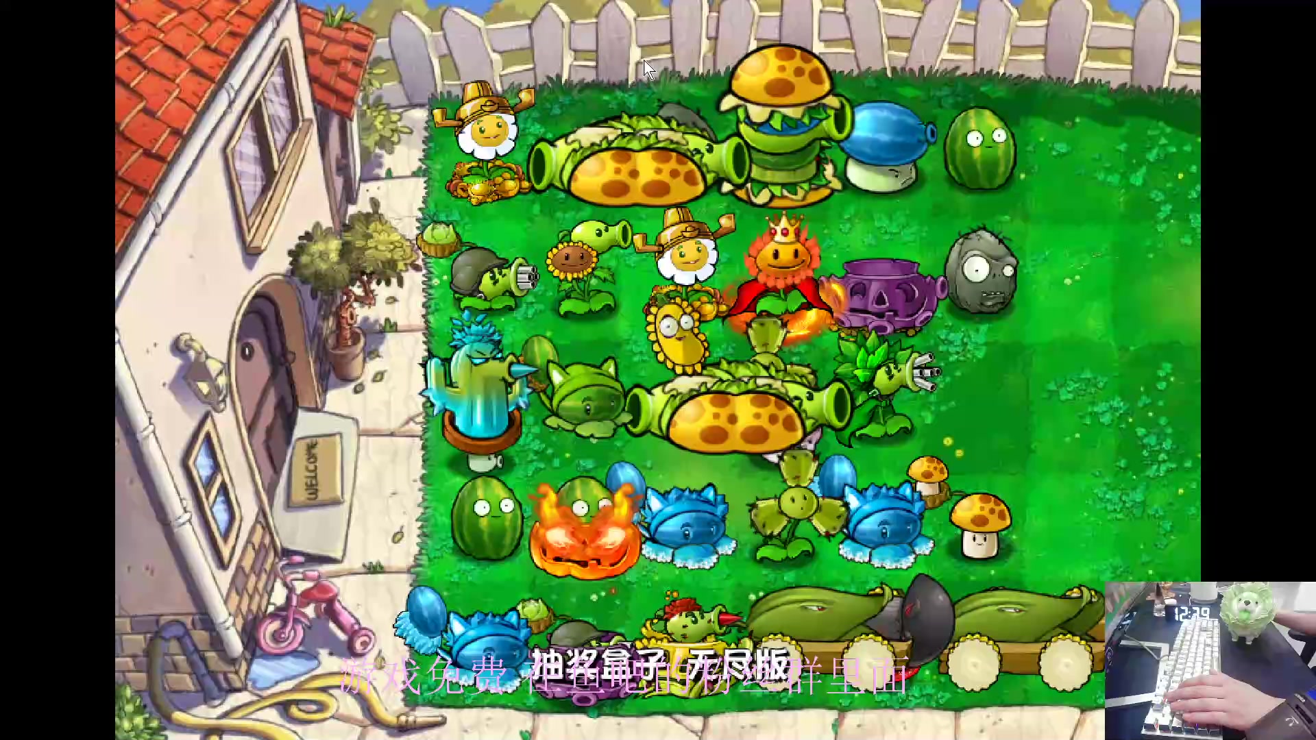 【2024-06-03 11点场】耿枫QUQ：这是植物大战僵尸0.o？