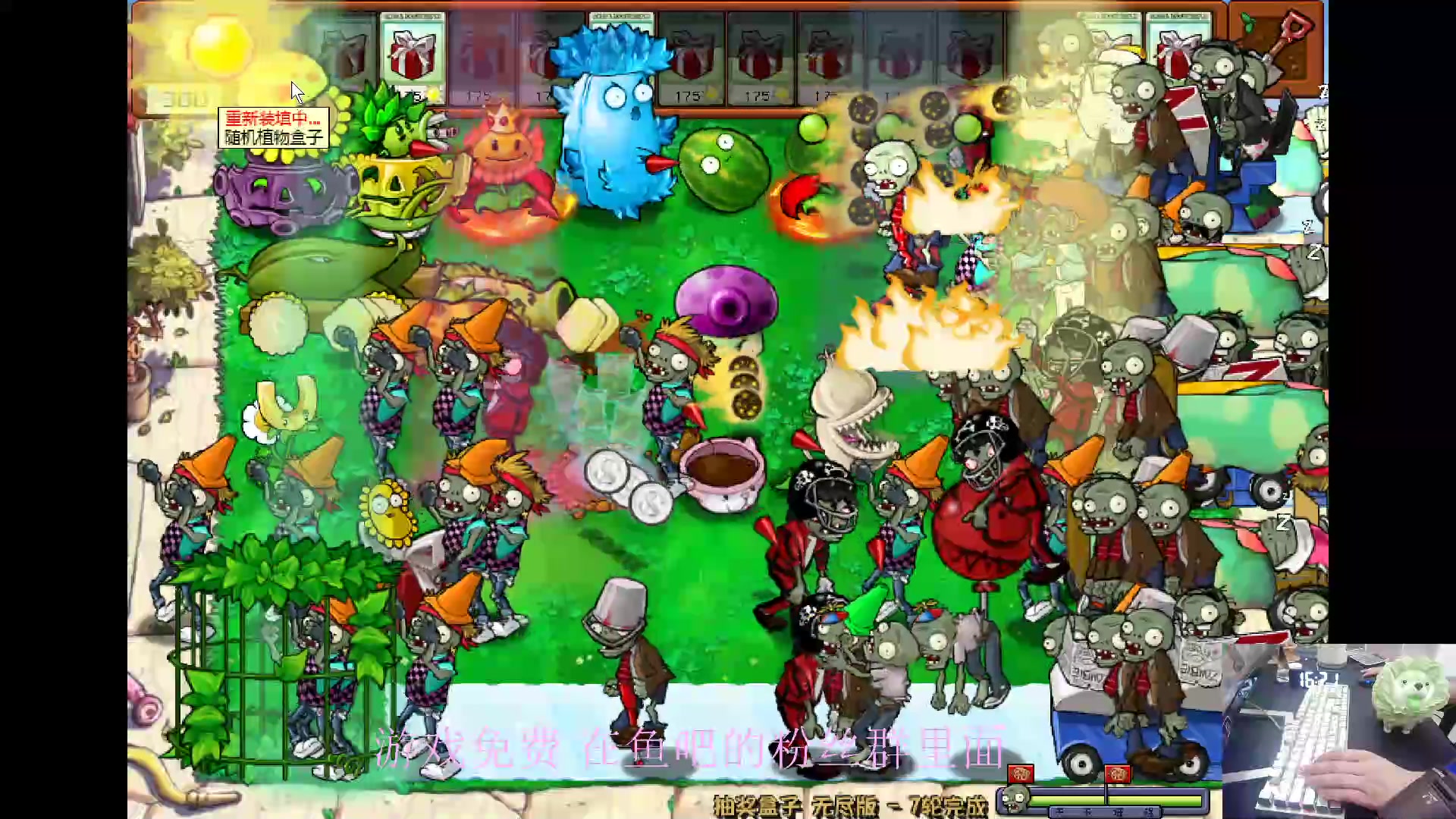 【2024-06-03 15点场】耿枫QUQ：这是植物大战僵尸0.o？