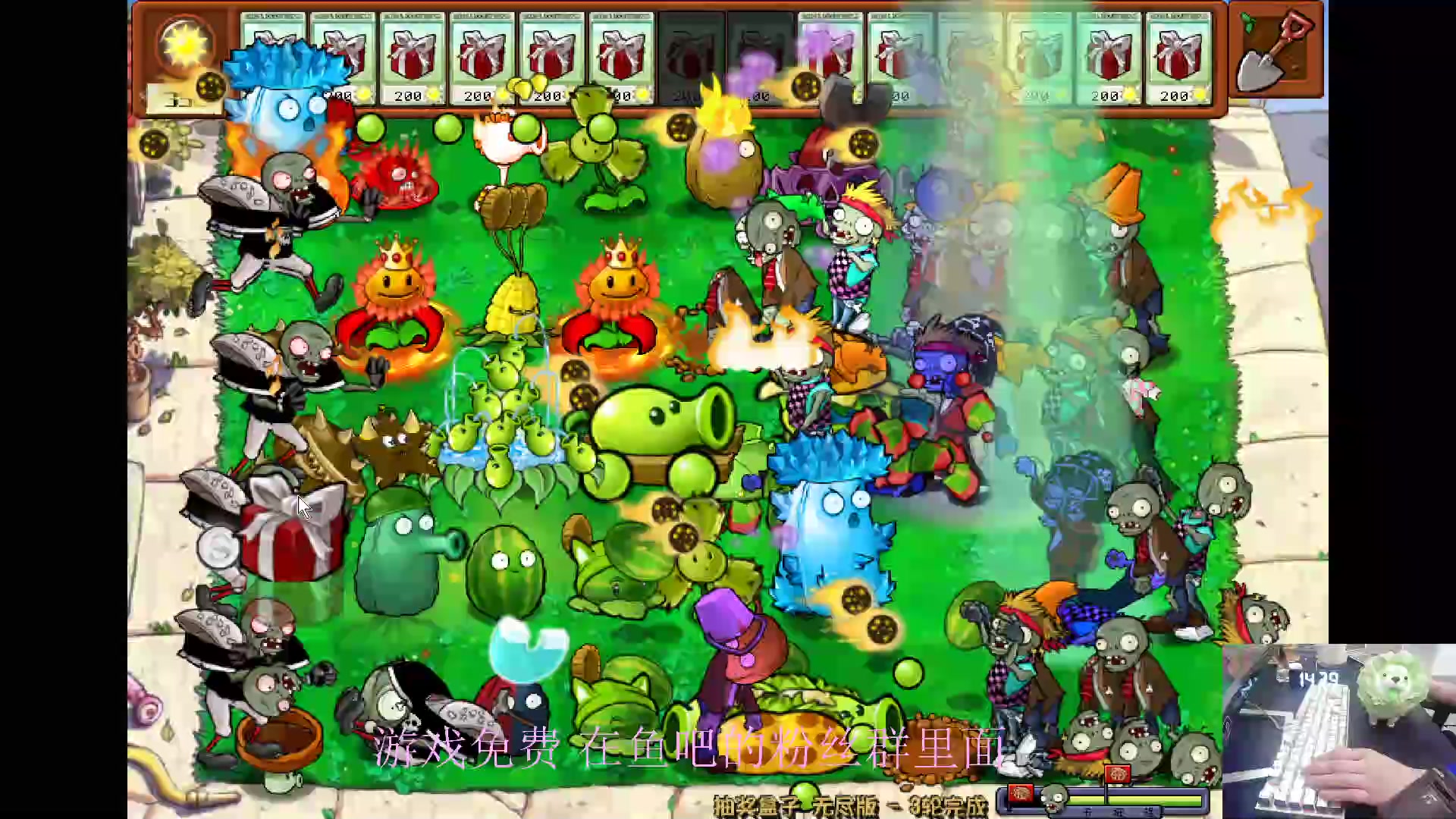 【2024-06-03 13点场】耿枫QUQ：这是植物大战僵尸0.o？