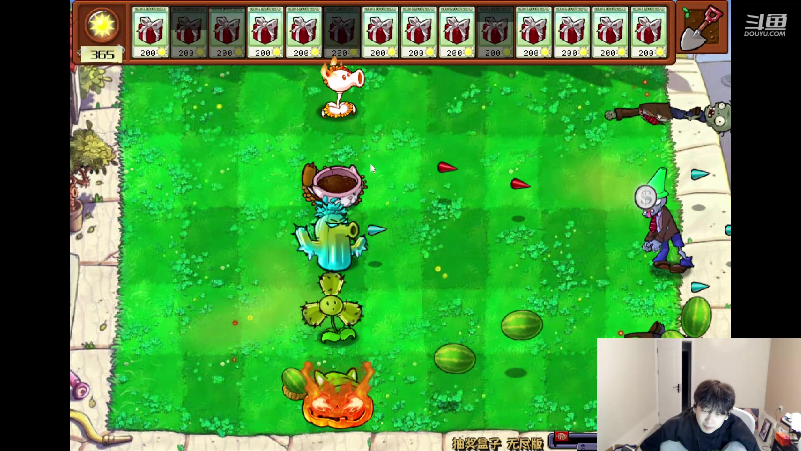 【2024-06-03 21点场】叁三QvQ：【小奶团】六月天天心开~