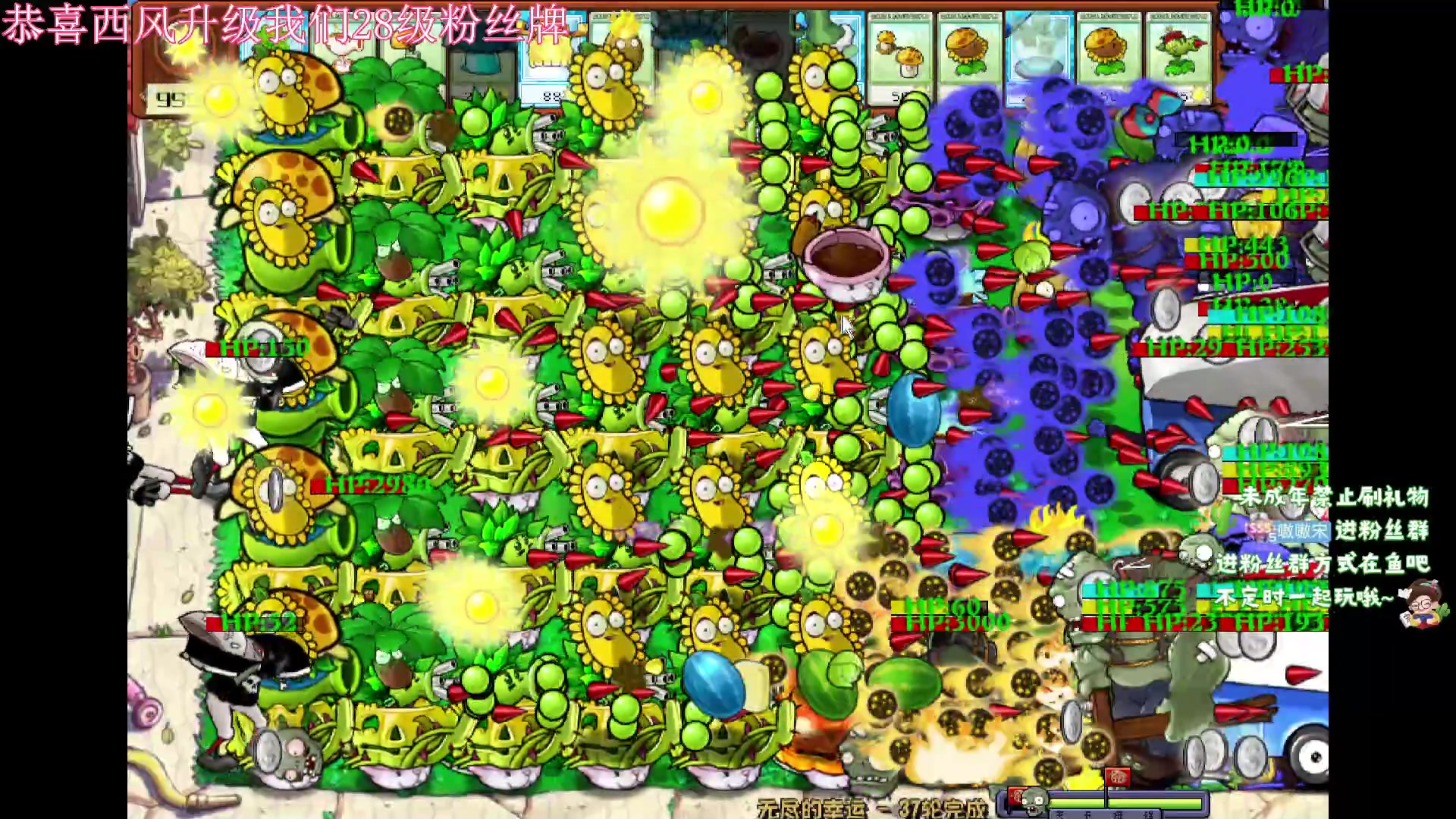 【2024-6-4 3点场】小小宋OAO:✨小小宋✨开心快乐每一天！