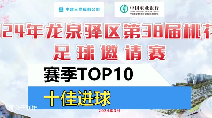 【集锦】2024年龙泉驿桃花节足球邀请赛 赛季十佳进球