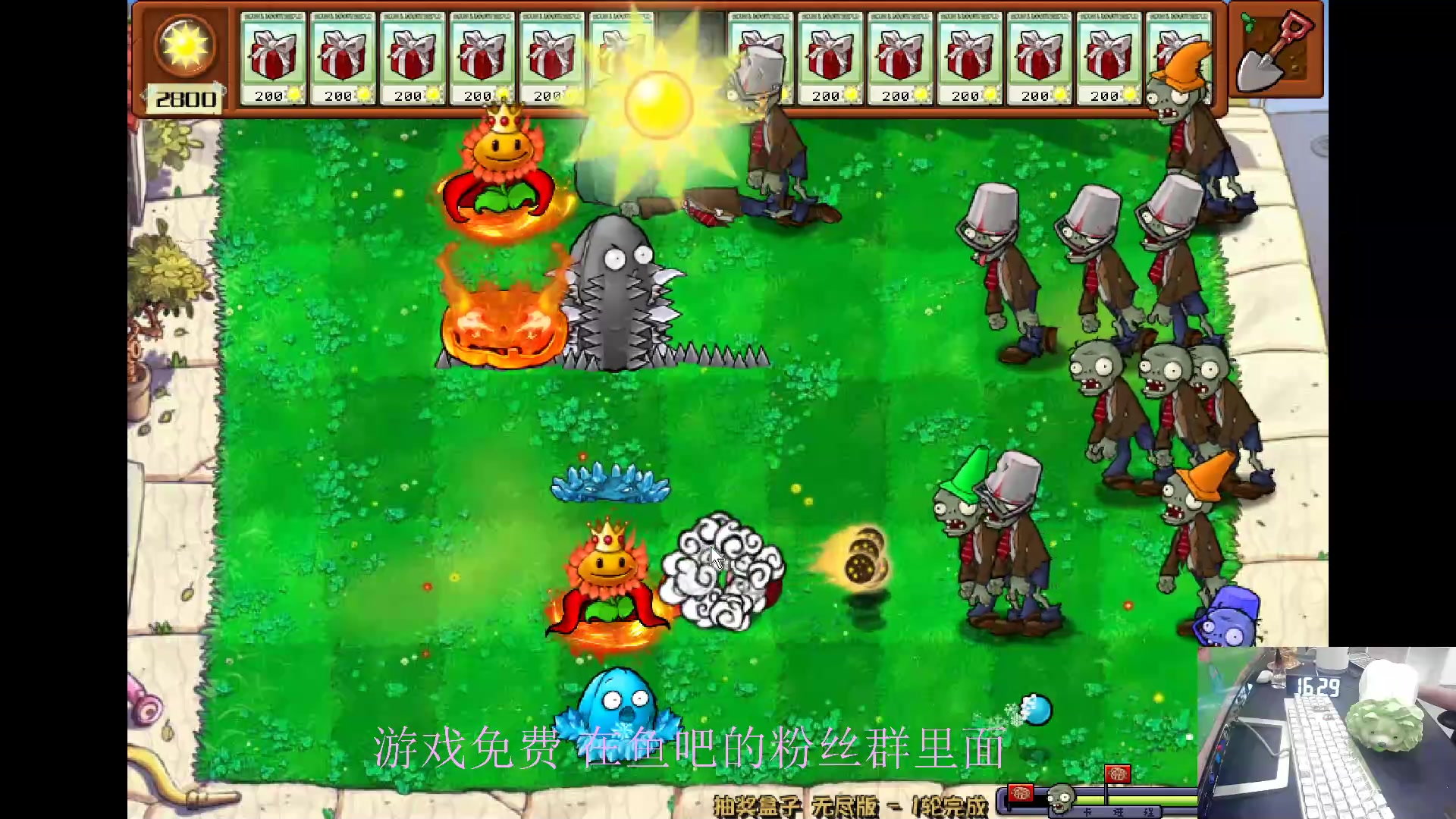 【2024-06-05 15点场】耿枫QUQ：古希腊掌管植物的神