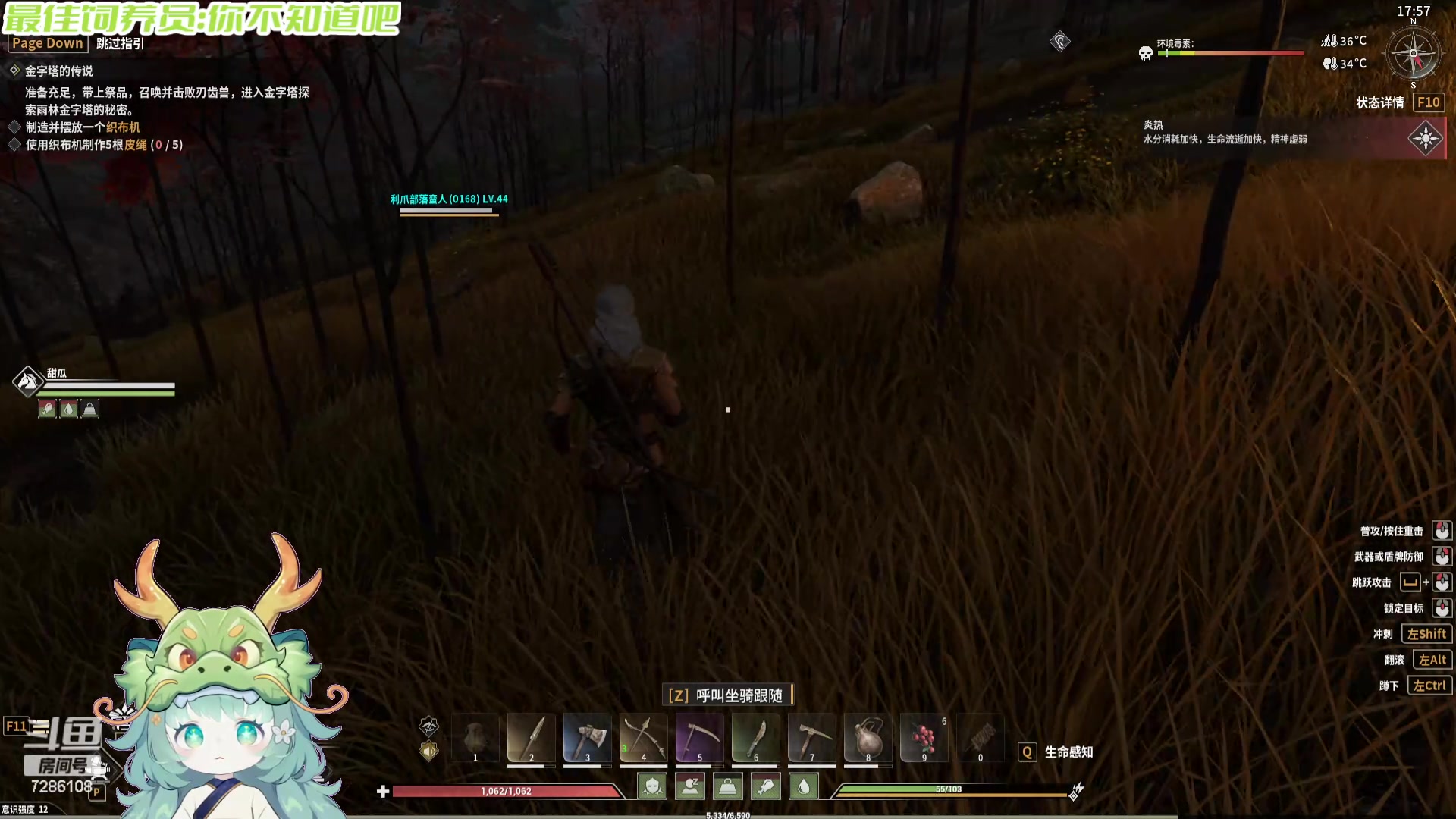 【2024-06-05 00点场】一只猛龙丶：宝子们，我要去流浪辣~