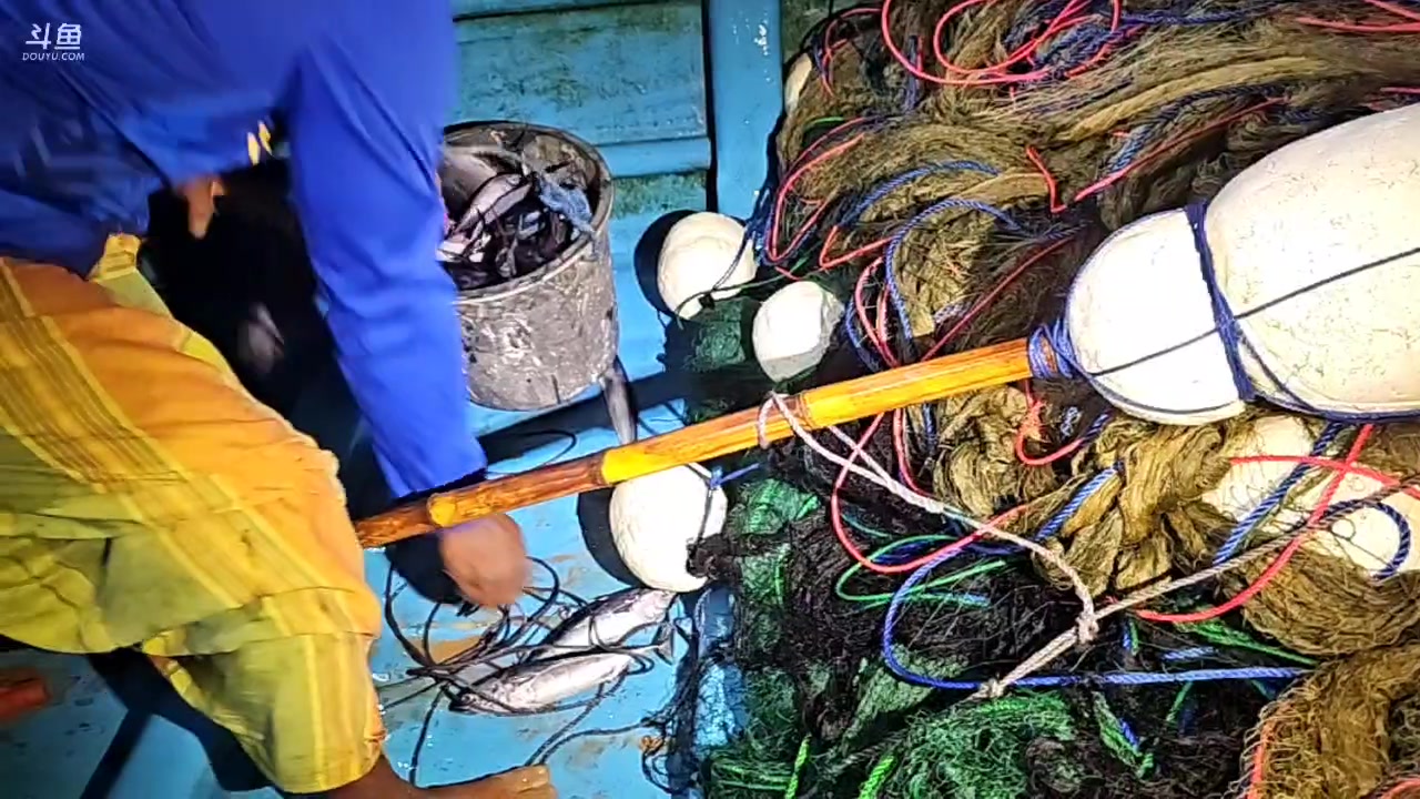 【2024-05-31 01点场】叶子户外：《纪实直播》斯里兰卡