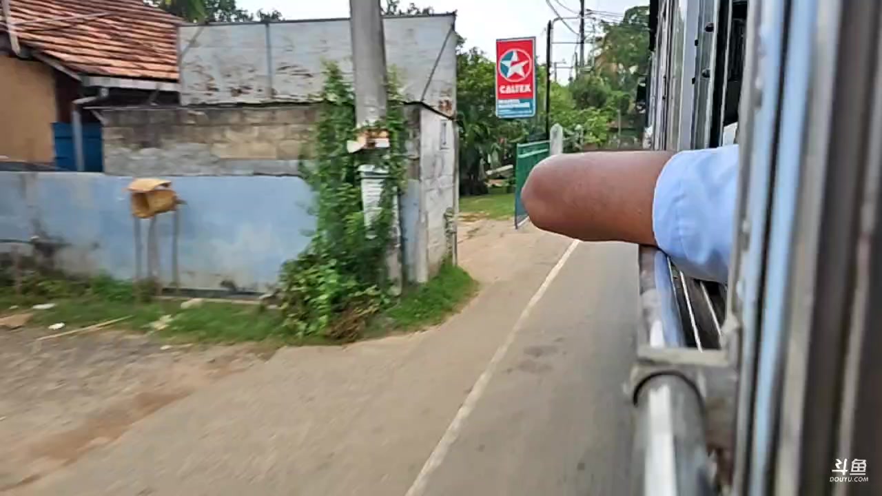 【2024-06-01 18点场】叶子户外：《纪实直播》回来了