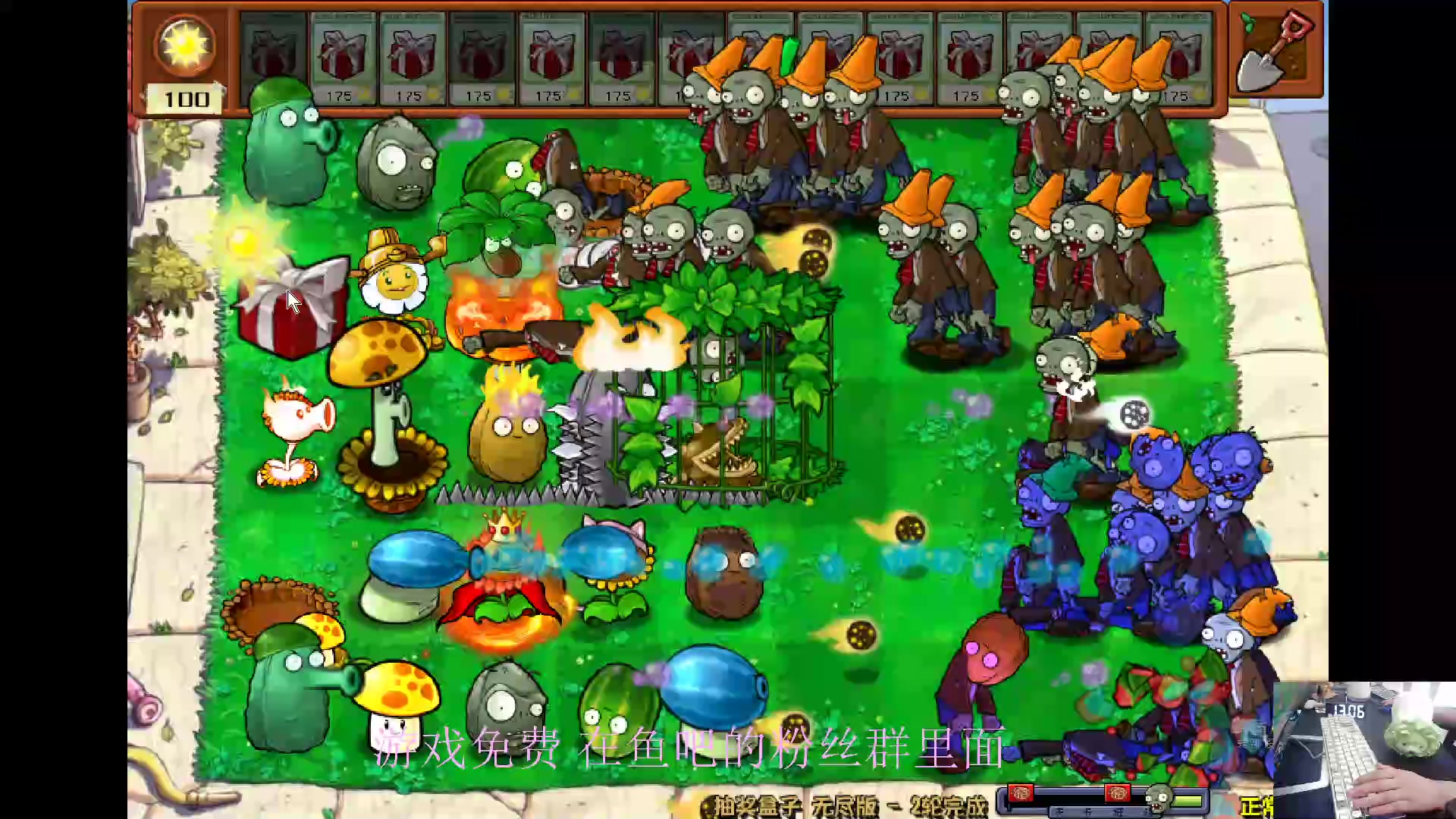 【2024-06-06 12点场】耿枫QUQ：古希腊掌管植物的神