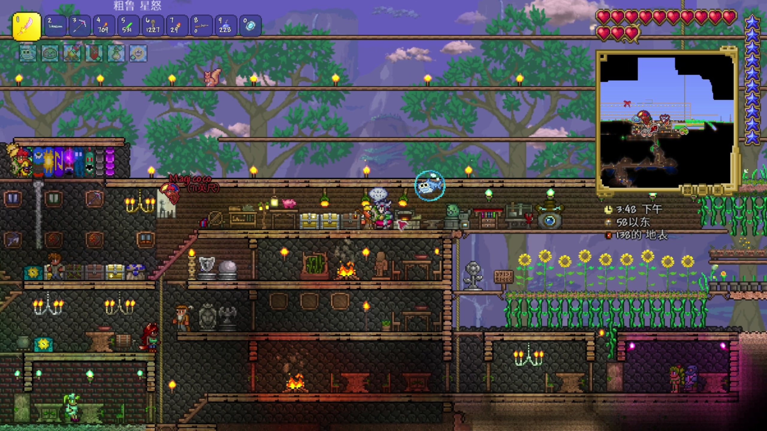 【2024-06-06 18点场】尐表哥：直播啦！！！ 217331