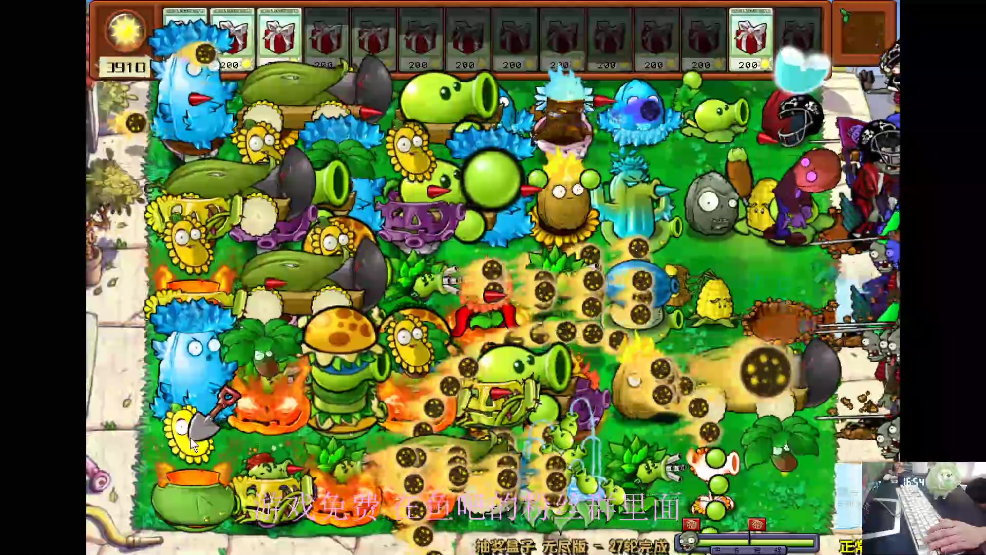 【2024-06-06 16点场】耿枫QUQ：古希腊掌管植物的神