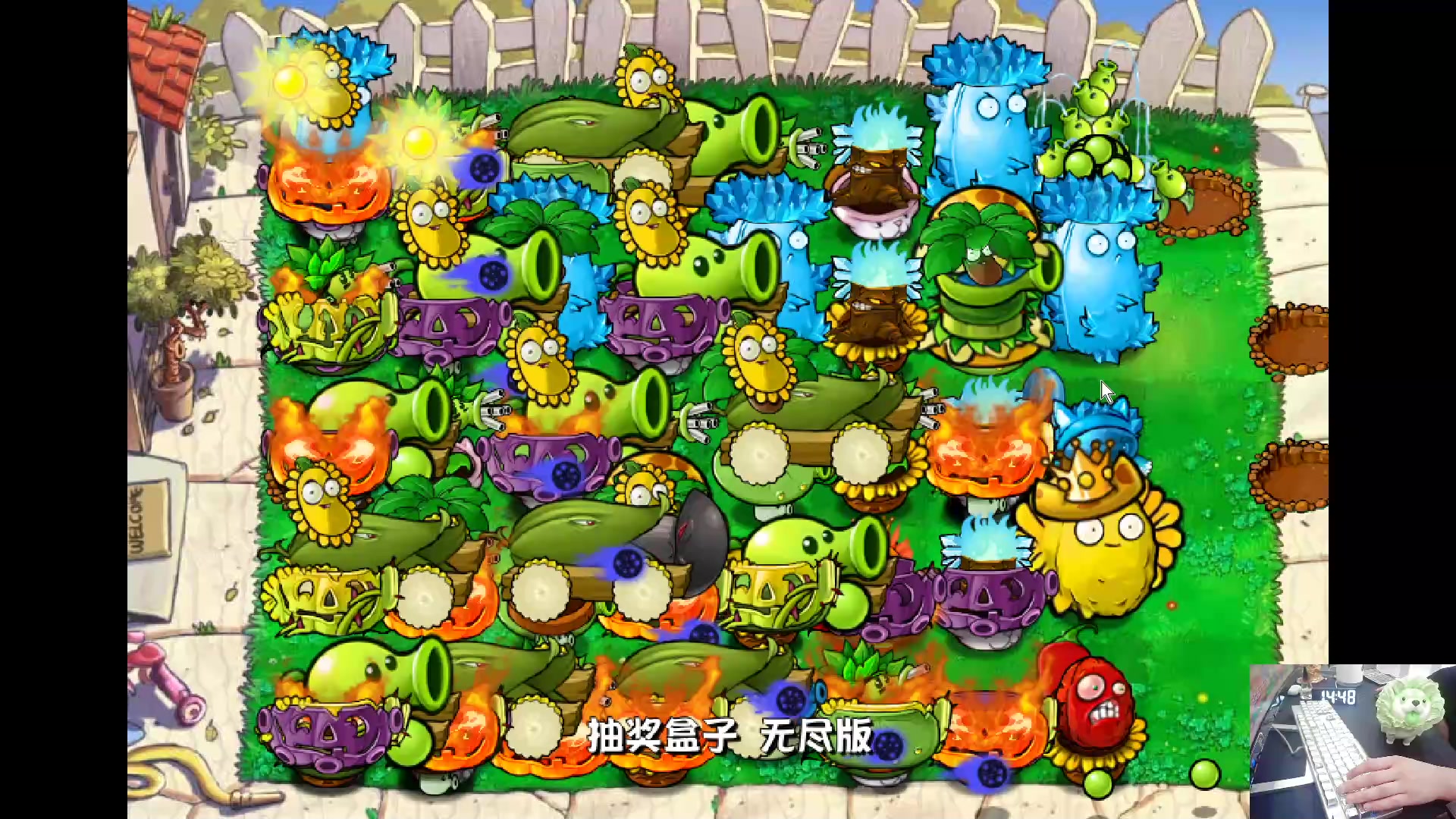 【2024-06-07 14点场】耿枫QUQ：神龙尊者皮肤上线 火热带粉~